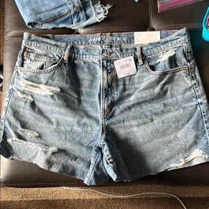 American Eagle Outfitters Blue Jean Shorts Relaxed Fit